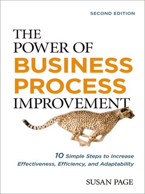 cover image of The Power of Business Process Improvement